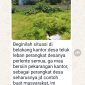 Oplus_131072